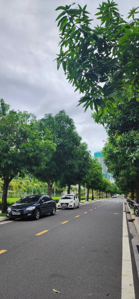 Cho thuê nhà phố trục D9 Vinhomes Grand Park, đã hoàn thiện trục đường đẹp đông đúc nhất dự án